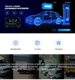 武汉蓝星新能源技术有限公司