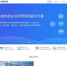 新软web