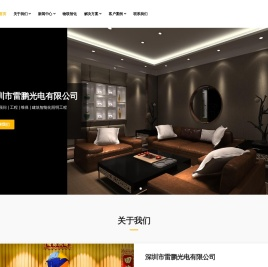 深圳雷鹏光电有限公司