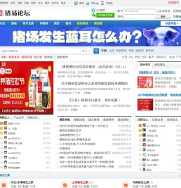 猪易论坛