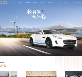 山东丰元化学股份有限公司