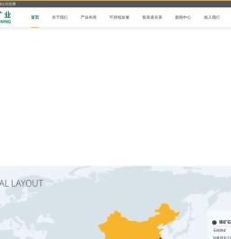 海南矿业股份有限公司
