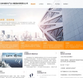 吉林省新兴产业小额贷款有限责任公司