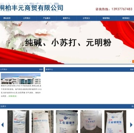 索尔维小苏打