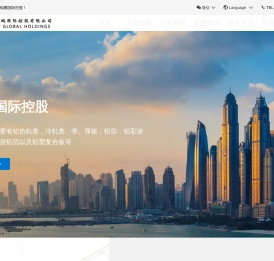 鲲鹏国际控股