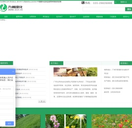 草种,草籽,绿化草种草籽供应商