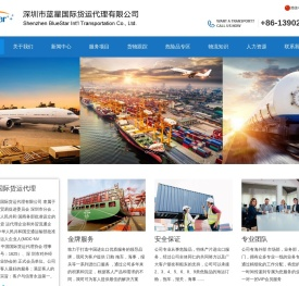 深圳市蓝星国际货运代理有限公司