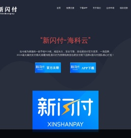 新闪付