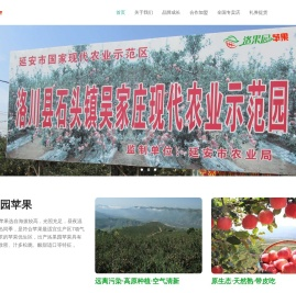 洛果园苹果首页