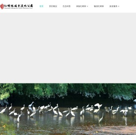 大亚湾红树林城市湿地公园