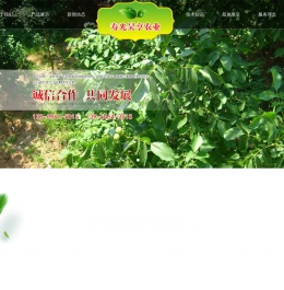寿光市昊亨农业开发有限公司,本公司的主要产品有核丰