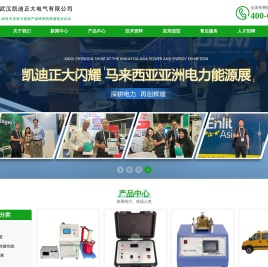 武汉凯迪正大