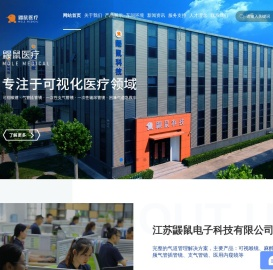 麻醉视频喉镜