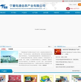 宁夏电通信息产业有限公司