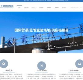 天津港强集团有限公司