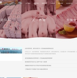 傲农集团