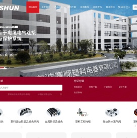 宁波赛顺塑料电器有限公司