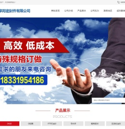 巨鹿县卓阳密封件有限公司