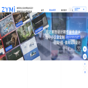 专业网站设计