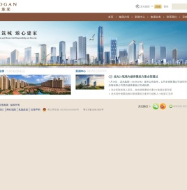 龙光控股集团