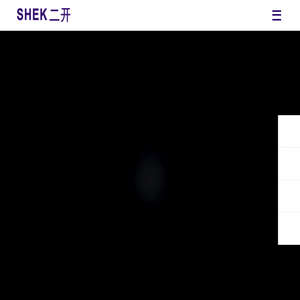 上海二开电器有限公司
