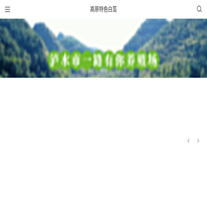 高原特色白芨