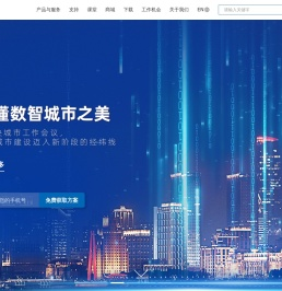 国泰新点软件股份有限公司