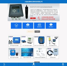 大连欣美特仪表科技有限公司