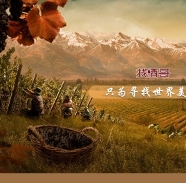 找酒哥