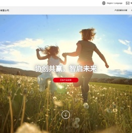 日立解决方案（中国）有限公司