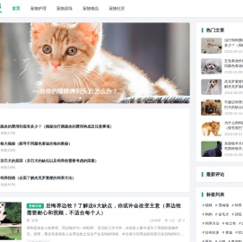 爱宠生活