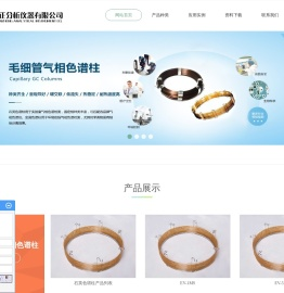 青岛贞正分析仪器有限公司