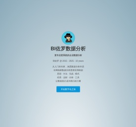 BI佐罗数据分析