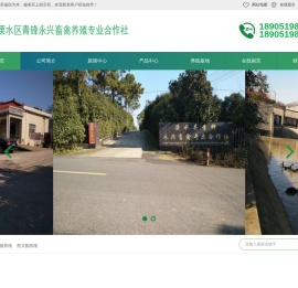 南京生猪养殖