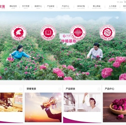 山东芳蕾玫瑰集团有限公司