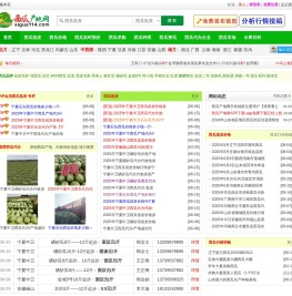 西瓜产地网