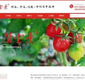 叶面肥冲施肥生产厂家