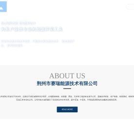 荆州市赛瑞能源技术有限公司