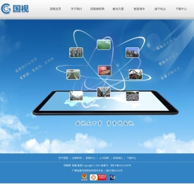国视网
