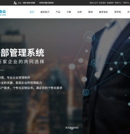 APP定制开发