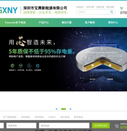 纽扣电池