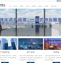 山东新能泰山发电股份有限公司