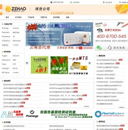 泽浩公司