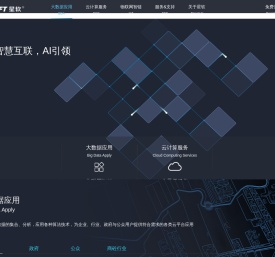 星软集团