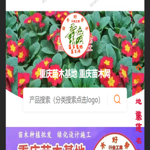 重庆苗木基地,重庆花木基地,重庆苗圃基地,重庆苗木网,基地联系电话