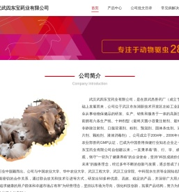 武汉武四东宝药业有限公司