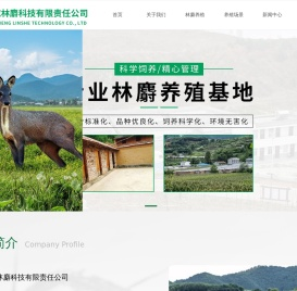 风县林麝养殖基地/风县林麝养殖/宝鸡天成林麝科技有限责任公司