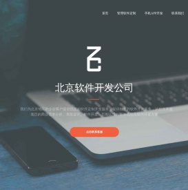 北京软件开发公司