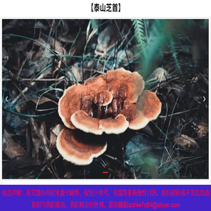 破壁灵芝孢子粉多少钱一斤及功效与作用