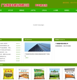 广东新盛丰肥业有限公司